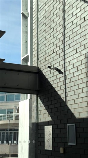 🔒 Your CCTV system should protect you - not let you down when it matters most. That’s where Surveillance Guardian comes in. Designed to work seamlessly with your existing CCTV setup, it gives you total visibility and confidence in your security system - every hour, every day. Here’s why more businesses are investing in Surveillance Guardian: 1️⃣ Real-time monitoring – Receive instant alerts the moment an issue occurs, from camera failure to network loss. You’ll always know your system is perfor