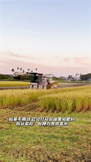 Funny Moments with Tractors: Yanmar and Kubota Bloopers