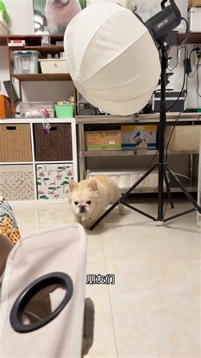 Master Azu: The Long-haired Martial Artist You Can Trust - Azu Universe Unleashed