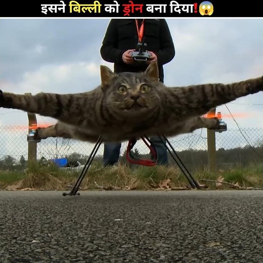 CAT TURNED INTO DRONE!😱 #shortsfeed