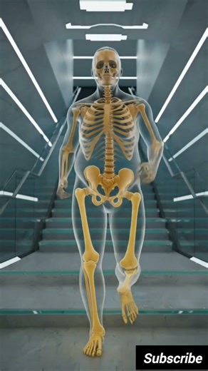Climb Stairs for 30 Days… Full Body Fat Gets Destroyed 🪜🔥 #StairClimbing #USAFitness #TrendingNow