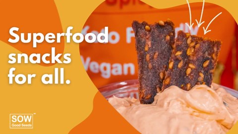 Sow Good Crackers - High Fiber, Low Carb, Gluten Free, and Vegan Keto Crackers with 8g of Fiber - 1 Net Carb*, Paleo Chips with Flax, Diabetic Friendly Diet Foods (Spicy Buffalo, 2-Pack)