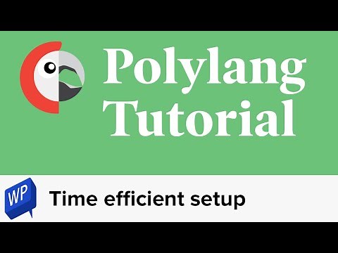 Polylang tutorial – Time efficient setup