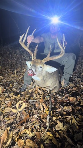 Ohio dream buck 🏹 #archery #hunt #bigbuck #ohio | hunting