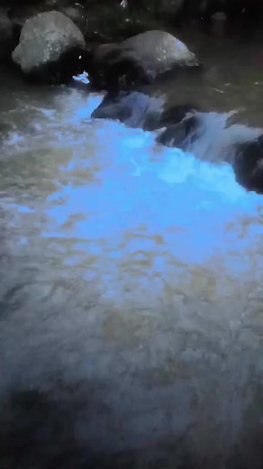 Abdul Karim on Reels