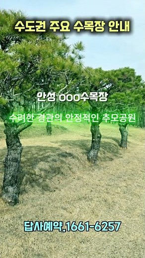 수도권 주요수목장 top5 #일산,김포,양평,안성,평택oo수목장 #수목장안내