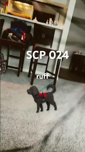 SCP 024