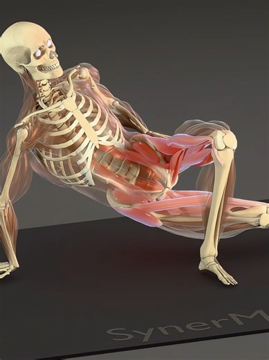 Open stiff hips and ease lower back tension with this controlled movement. As you sink low and rise up, deep hip rotators stabilize the joint, glutes and adductors build control, and tight hip flexors finally release. Move slow and breathe. #HipMobility #lowerbackrelief #MobilityTraining #painfreemovement #synermuscle