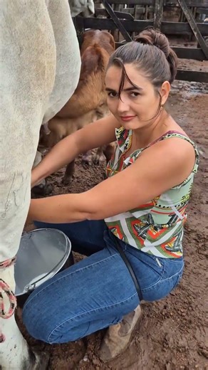 Manual Cow Milking 🐄 | Traditional Farming Life | Fresh Milk Collection on Farm #villagelife #agro