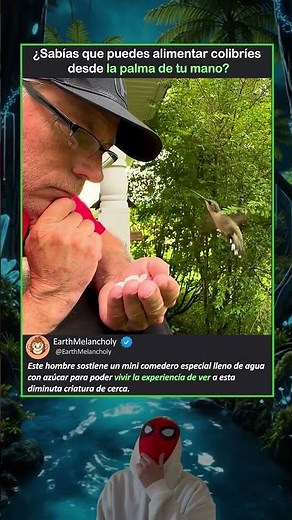 Un colibrí se posó en su mano