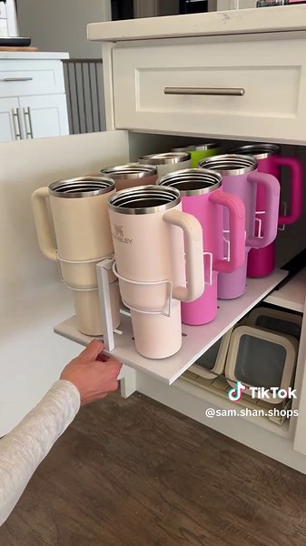 Genius Storage Ideas for Stanley Tumbler Cups