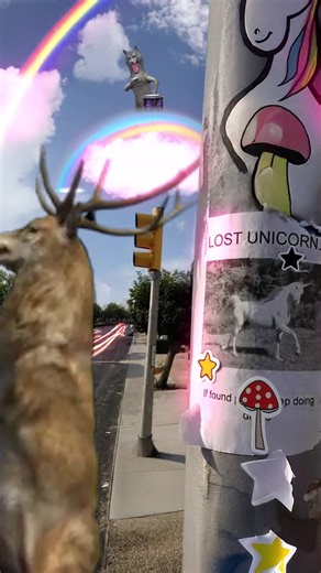 Dance | Lucid Dreaming | Currently listening to Mystic Circles by Filmmaker #dancingsquirrel #dancingdeer #funnyanimals #premierpro #alexreynosoart