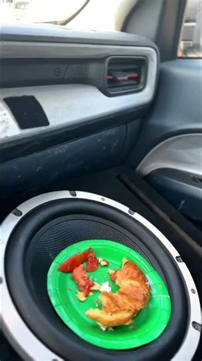 Letting my intrusive thoughts go hard #intrusivethoughts #automobile #foodfail