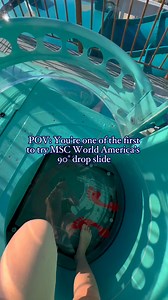 1.8M views · 9.1K reactions | New ship, new thrills. Would you try this on MSC World America? https://bit.ly/3WEmR7D | MSC Cruises | Facebook