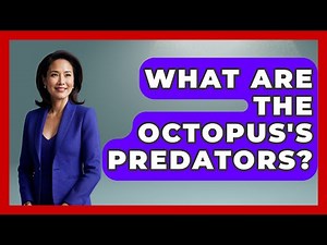 What Are The Octopus's Predators? - The Marine Life Explorer