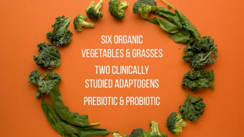 NAKED nutrition Super Greens Powder Organic Greens Supplement - Only 10 Premium Ingredients - Vegan, Non-GMO, Prebiotic and Probiotic - 35 Servings