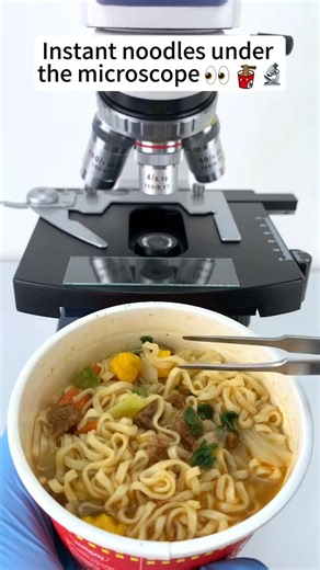 instant noodles look cool at 400x magnification!#microscope | Home Making II