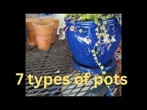 Learn about the Seven Types of Pots for Plants and Their Uses | Potting plants for beginners