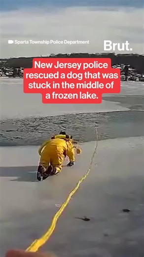 New Jersey police officers recently rescued a dog that had fallen through the ice and gotten stuck in the middle of a frozen lake.