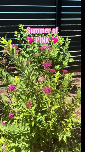 7 new pink Hydro Flask products? Count us in! 💖 #Camellia #MyHydro