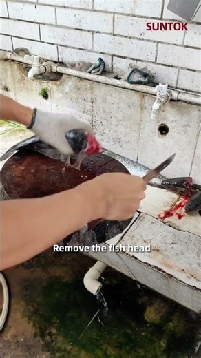 Fish fillet machine for snakehead