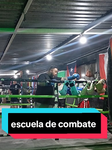Escuela de Combate: Técnicas de Boxeo en Clases