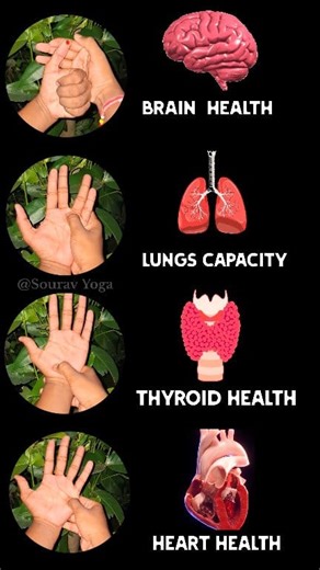 106K views · 1.2K reactions | 4 Best Acupressure Massage Points ✅️ Use Both Hands Simple Points Location. Only heart Acupressure Point on left hand Massage 1-3 Minutes Daily Good for BRAIN HEALTH LUNGS CAPACITY THYROID HEALTH & HEART HEALTH ❤️ Sourav Yoga #brainhealth #lungs #thyroid #heart #HeartHealth #acupressure #acupuncture #fbreels #viralreels #trendingreels #reels #love #explorepage | Sourav Yoga | Facebook