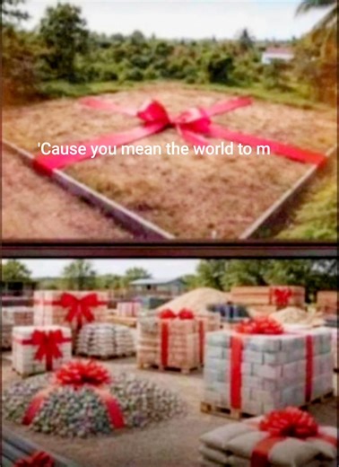 This should be the way forward | Lester Glen