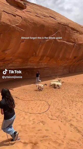 Exploring Rez Life: A True Celebration of Navajo Culture