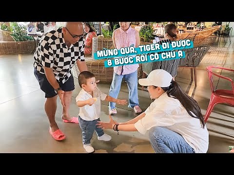 Tiger unexpectedly visits Color Man's company and takes 8 steps in a row for the first time!