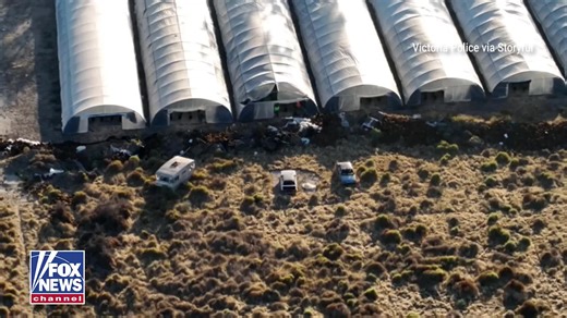 FIGHT OR FLIGHT: Four men have been charged after a police raid on an estimated $10 million cannabis grow operation in Australia. Drone footage shows five suspects running from officers. One man escaped — and the other four reportedly refused to give information about him. | Fox News