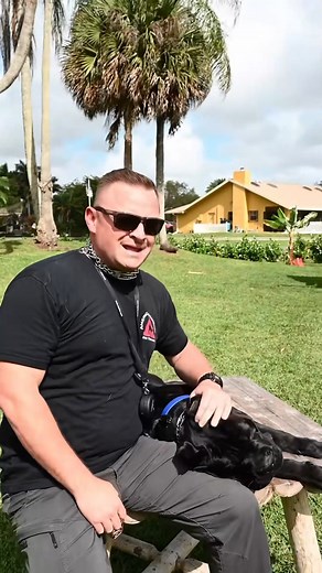 59K views · 1.3K reactions | Hot topic. Which prong collar is good for your dog Part 2 #dog #doglover #dogtips #dogtrainingtricks #dogtraining #dogtrainer #fypシ゚ #puppies | DIYK9 Dog Training | Facebook