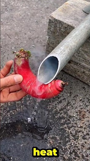 🪛 Simple DIY Fix for Anyone – Part 633
