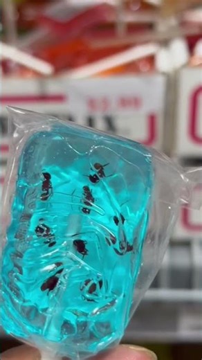 Wierd Insect candy 🍭 # candy# largest candy store in America