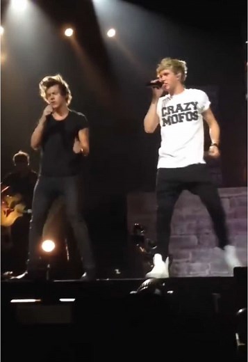 One Direction Reunion: Harry, Niall, and Zayn Together