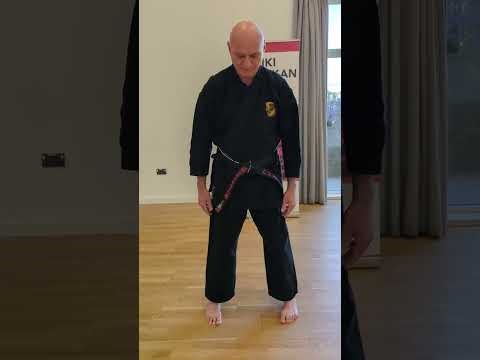 Parallel stance (Heiko-dachi) and front stance (Zenkutso-dachi)