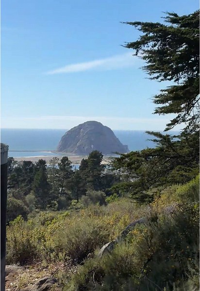 📍Black Hill Hiking Trail is a short 0.6 mile round-trip hike with panoramic views of Morro Rock, the estuary, and surrounding volcanic peaks. Did you know that Black Hill is one of the Nine Sisters, a chain of volcanic peaks formed around 20 million years ago? These volcanic plugs stretch from San Luis Obispo to Morro Bay. Save this for your next Central Coast adventure ⛰️ #MorroBay #MorroBayHike #BlackHillTrail #HikingTrails #Outdoor #Nature