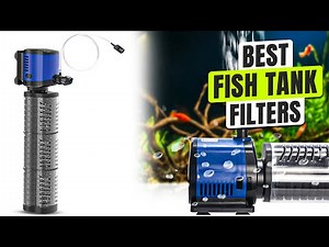 3 BEST Fish Tank Filters for Clear Water