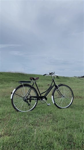 Revive Your Bike with Ontel 9 Speed Restoration