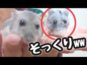 超リアル 手作り【ハムスター】を 見せると攻撃されたｗｗｗ - 羊毛フェルトでハムスター作ってみた🌟 -DIY