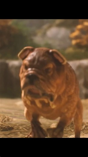 Un chien tellement moche #funnymoments #brothers