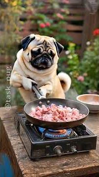 上手に描けてますか？ #pug #pug #cute #fyp #パグ #퍼그 #哈巴狗 #taskpug