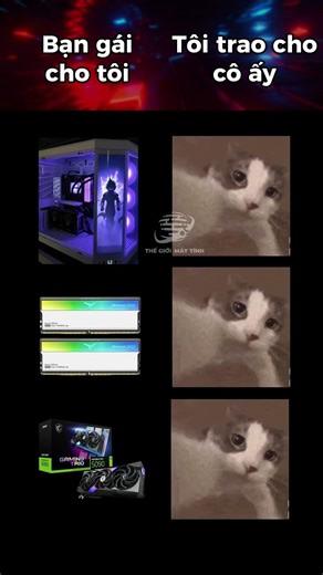 Chuyện cá tháng 4 vừa qua #Tgmt #ThếGiớiMáyTính #pcgaming #rgb #led #love #couple #happy #viral