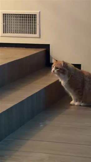 tinytyrants_ (@tinytyrants_)’s videos with original sound - Tiana