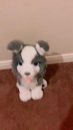 Rex (@rex.the.dog)’s videos with original sound - Me & Lou