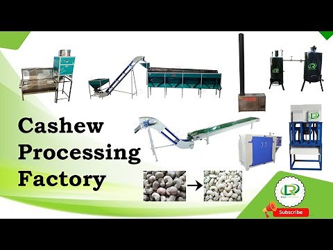 Cashew Processing Factory | Cashew Processing Unit | Fully Automatic Cashew Processing Plant | RAMI