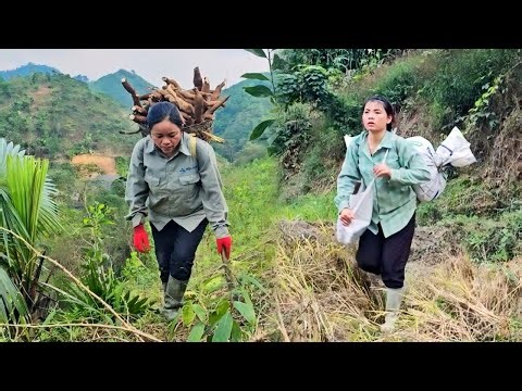 Yen Chi and her mother work diligently every day to earn income