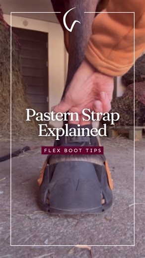 1.1M views · 12K reactions | Let’s talk about pastern straps!  ...