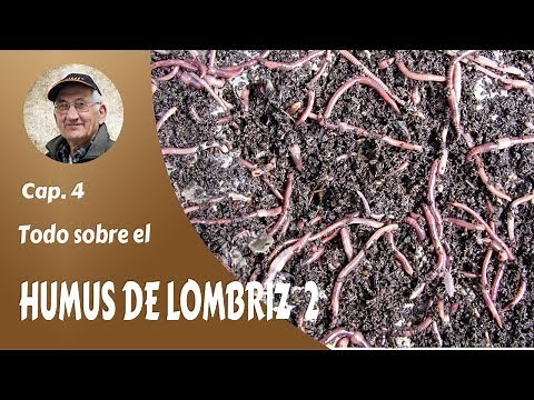 𝗛𝗨𝗠𝗨𝗦 𝗗𝗘 𝗟𝗢𝗠𝗕𝗥𝗜𝗭 4: Natural fertilizer. ALL ABOUT WORM HUMMUS (2)