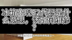 冰箱出现E2代码是什么意思，该如何维修？